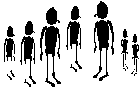 jcc-decouverte.gif (1926 bytes)